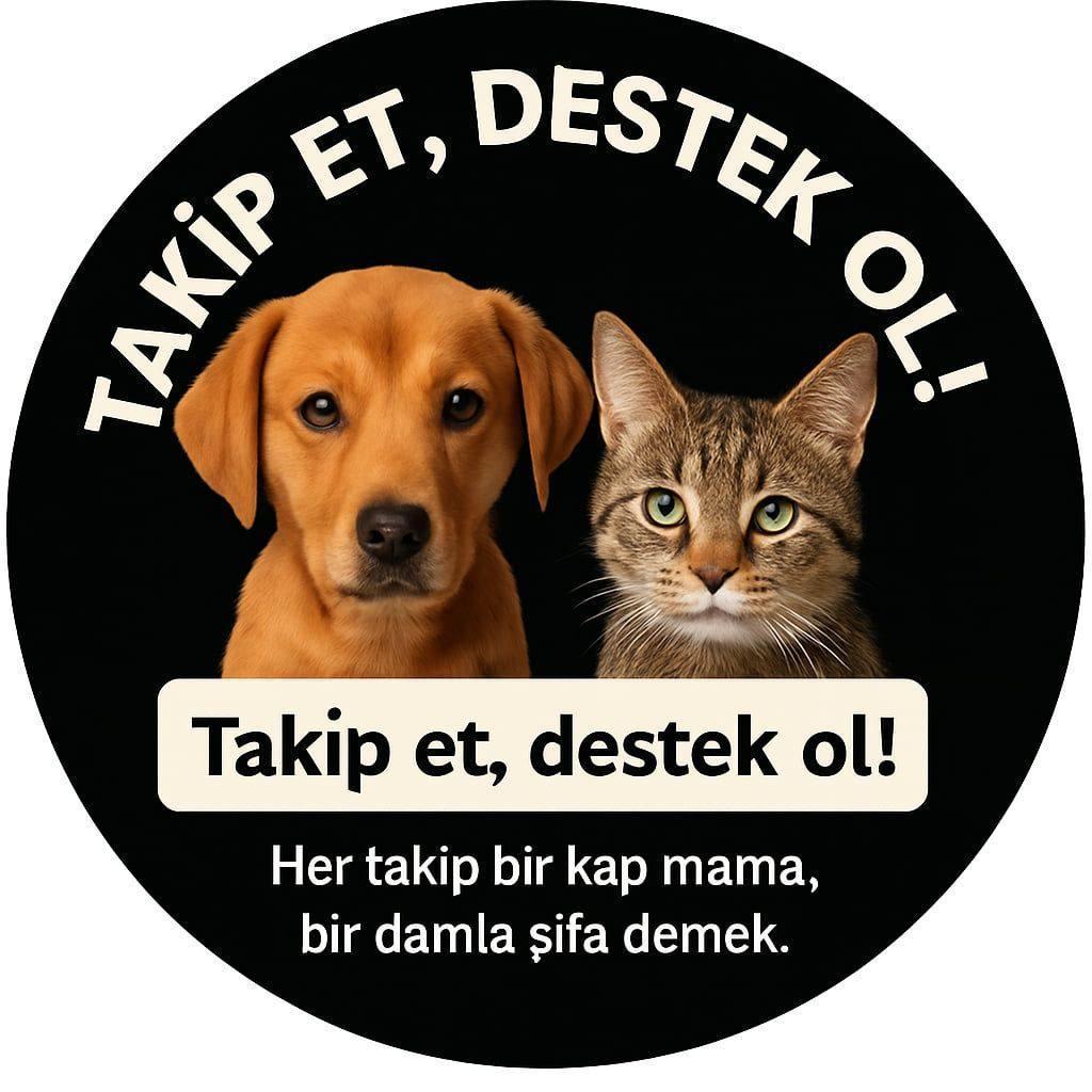 Sokak Hayvanlarına Destek